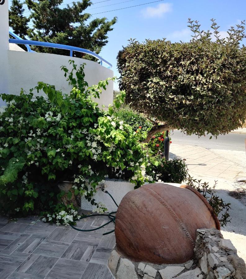 Lovely 1-Bedroom Unit @ Fabulous Location Paphos Exterior foto